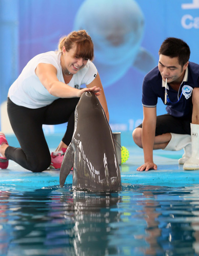 关键处将被 关键处将被